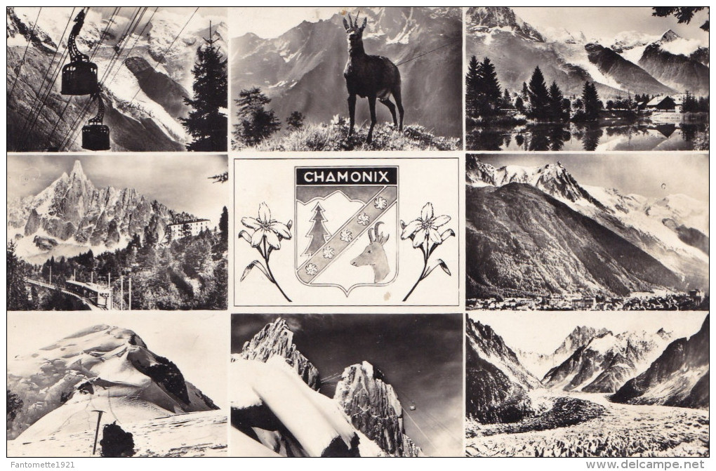 CHAMONIX  MULTIVUES (chloé12) - Chamonix-Mont-Blanc