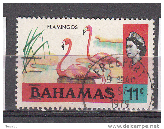 Bahamas 1971 Mi Nr 325 X Rode Flamingo - 1963-1973 Autonomie Interne