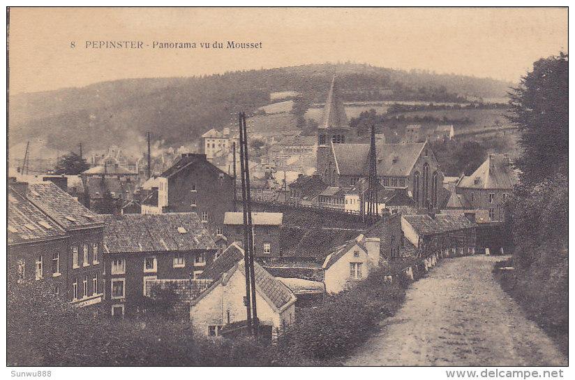 Pepinster - Panorama Vu Du Mousset (Saia) - Pepinster