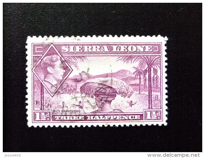 SIERRA LEONE 1938 Yvert N&ordm; 160 A &ordm; FU - GEORGE VI RECOGIDA DEL ARROZ - Sierra Leone (...-1960)