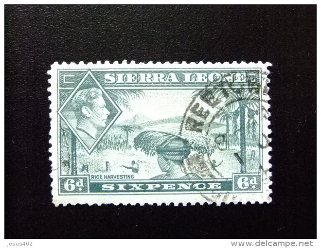SIERRA LEONE 1938 Yvert N&ordm; 165 &ordm; FU - GEORGE VI RECOGIDA DEL ARROZ - Sierra Leone (...-1960)