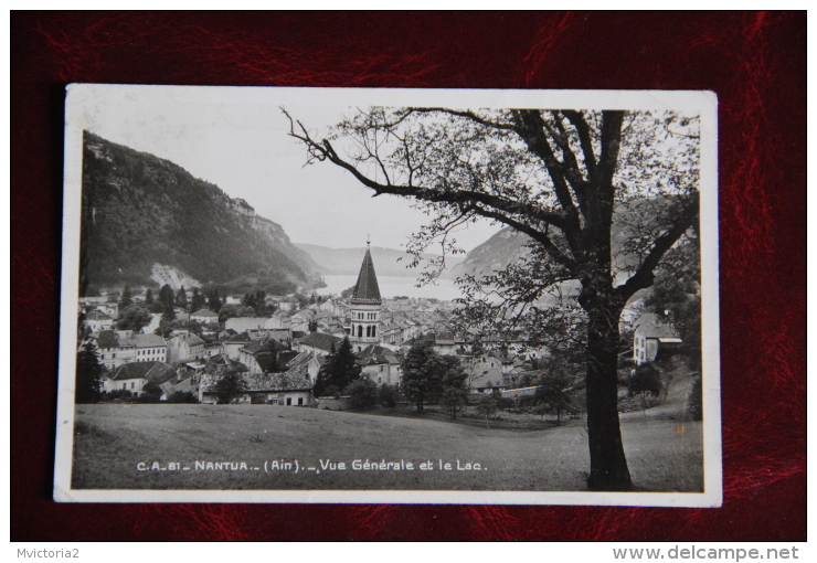 01 - NANTUA - Vue Générale - Nantua