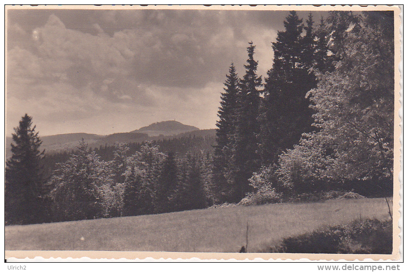 AK Sommertag Am Geising  (21996) - Altenberg