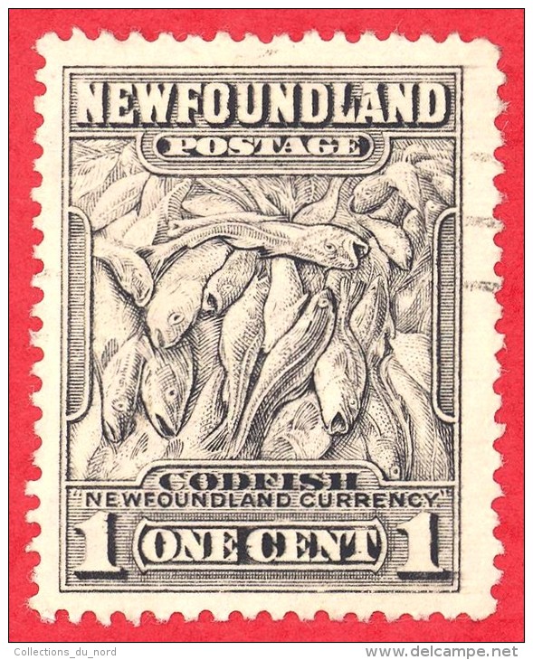 Canada Newfoundland # 184 - 1 Cent - O F/VF - Dated  1932-37 - Codfish / Morue - 1908-1947