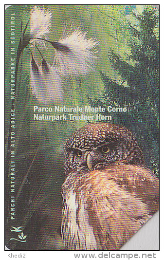 Télécarte Italie - Animal - OISEAU / HIBOU Chouette Chevêchette - Parc Naturel Haut-Adige OWL Bird Phonecard  Vogel 4217 - Eulenvögel