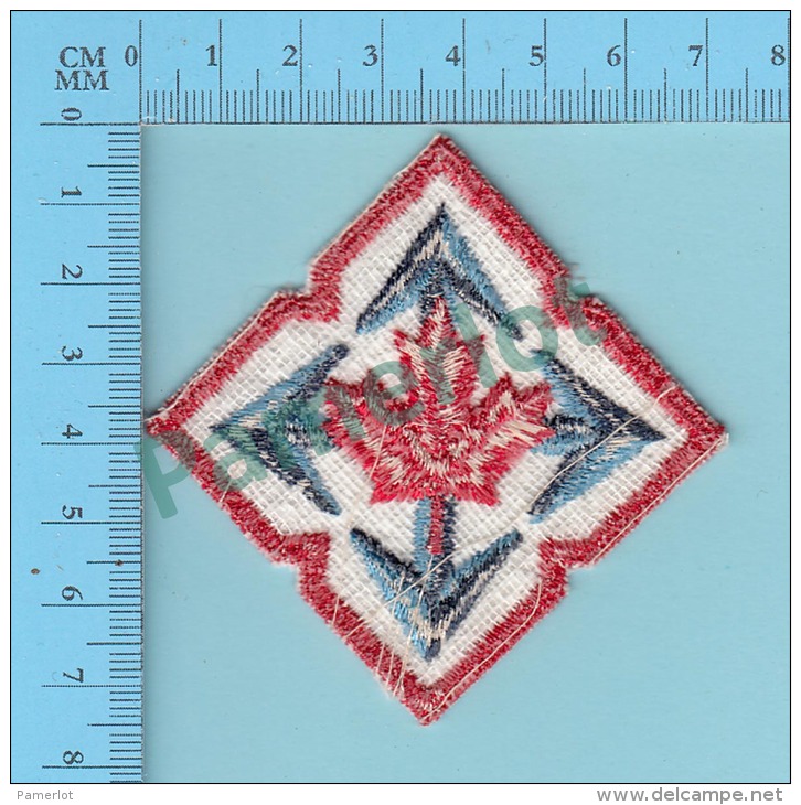 Badge Ecusson En Tissu Militaire (Feuille D'érable Et Pointes De Flèches Canadienne )2 Scans - Ecussons Tissu