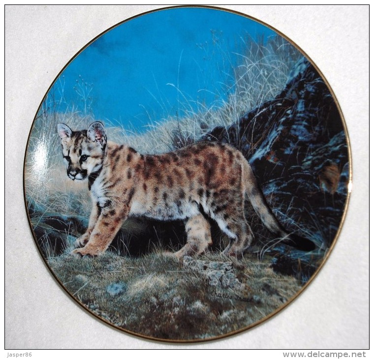 Baby COUGAR CAT "Ready For Adventure" Collectible Plate Hamilton Collector P31 - Other & Unclassified