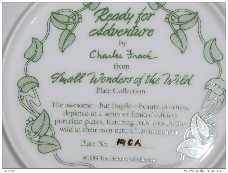 Baby COUGAR CAT "Ready For Adventure" Collectible Plate Hamilton Collector P31 - Other & Unclassified