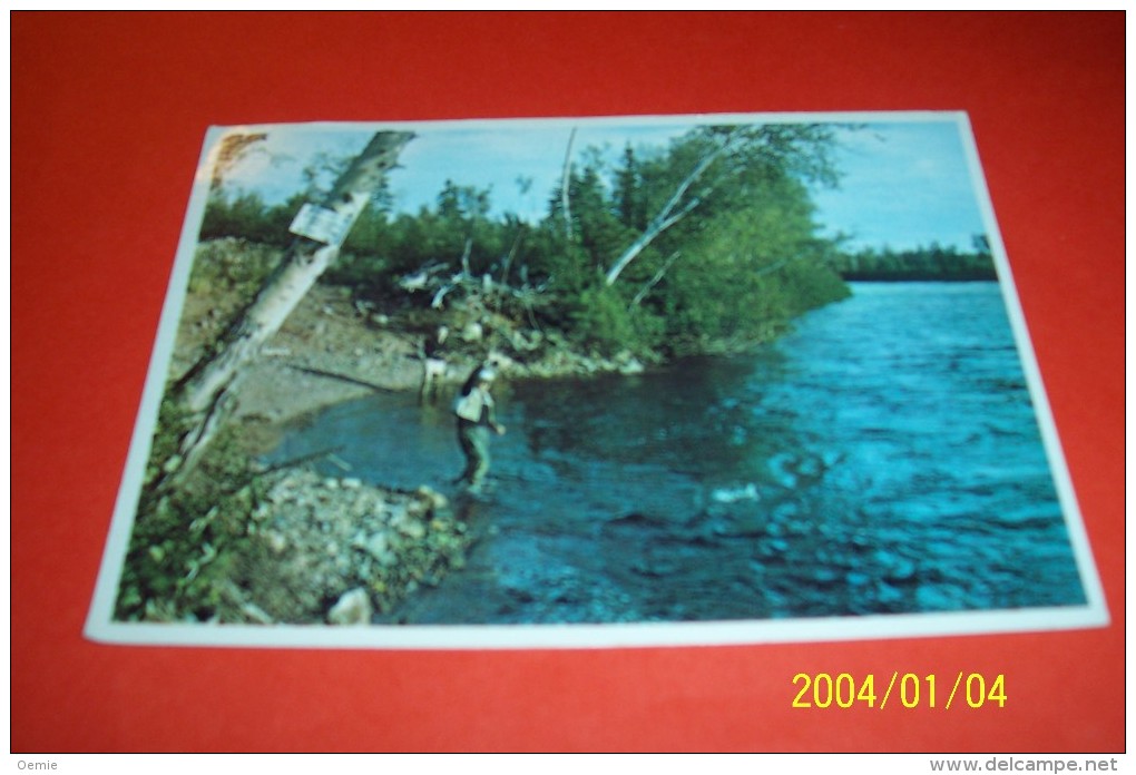 M 345 ° CANADA   AVEC PHILATELIE  °° SALMON FISHING  ON THE UPPER HUMBER RIVER NEWFOUNDLAND - Modern Cards