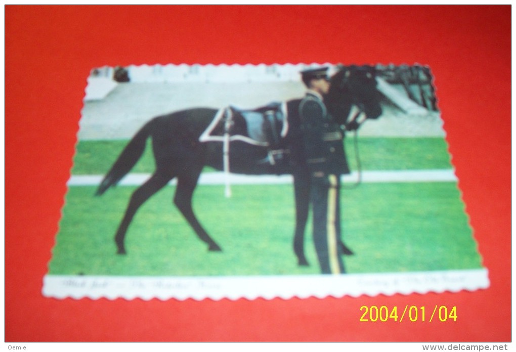 M 346 ° CANADA   AVEC PHILATELIE  ° BLACK JACK  ° THE REDERLESS HORSE  LE 27 08 1988 - Modern Cards