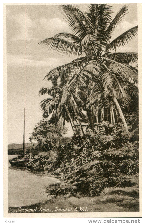 TRINIDAD(ARBRE) - Trinidad