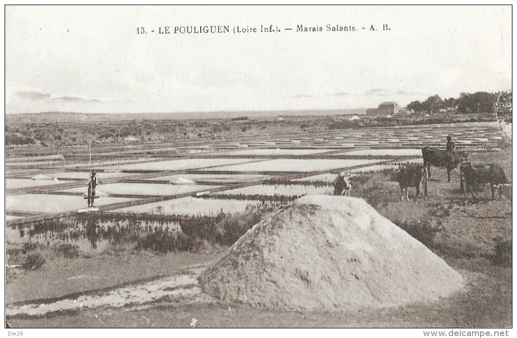 Le Pouliguen (Loire-Inférieure) - Marais Salants - Paludiers Et Vaches - Edition A.Bruel - Carte Non Circulée - Le Pouliguen