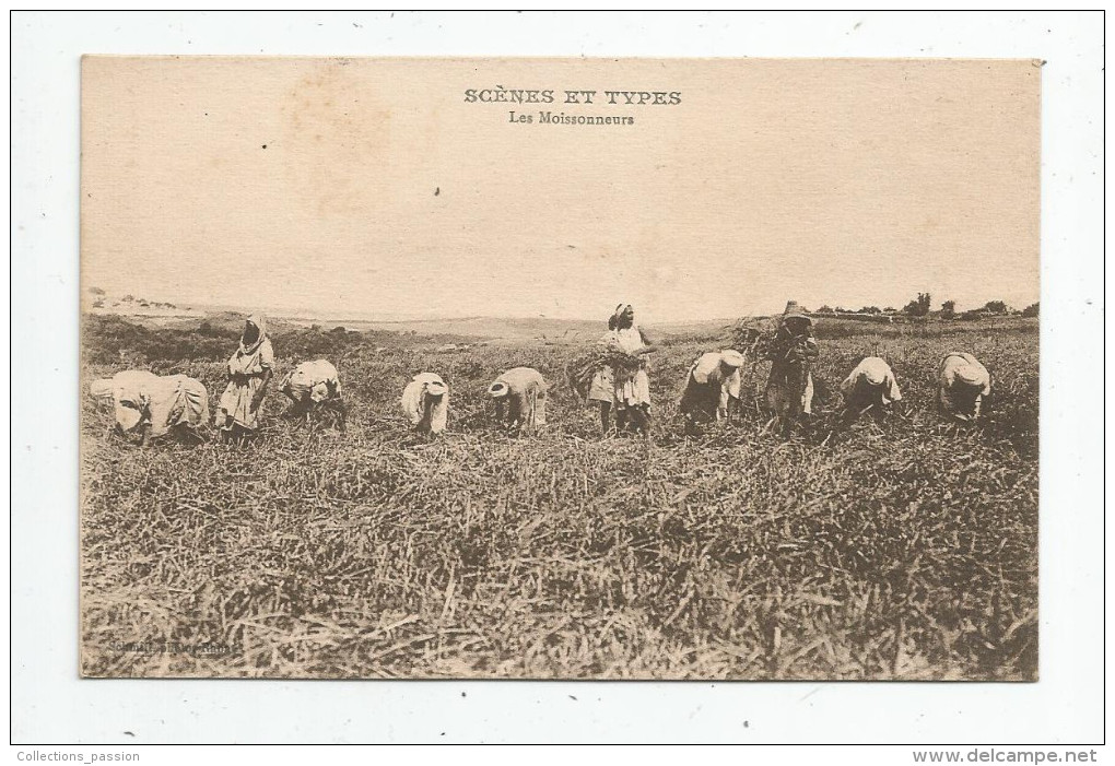 G-I-E , Cp , Agriculture , MAROC , Les Moissonneurs , Scénes Et Types , Vierge - Culturas