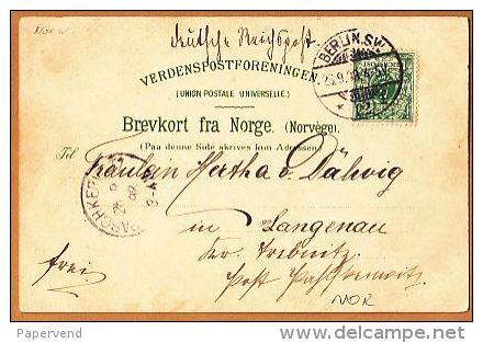Norway  GUDWAGEN Art Card Post Used 1898  Ny128 - Norway