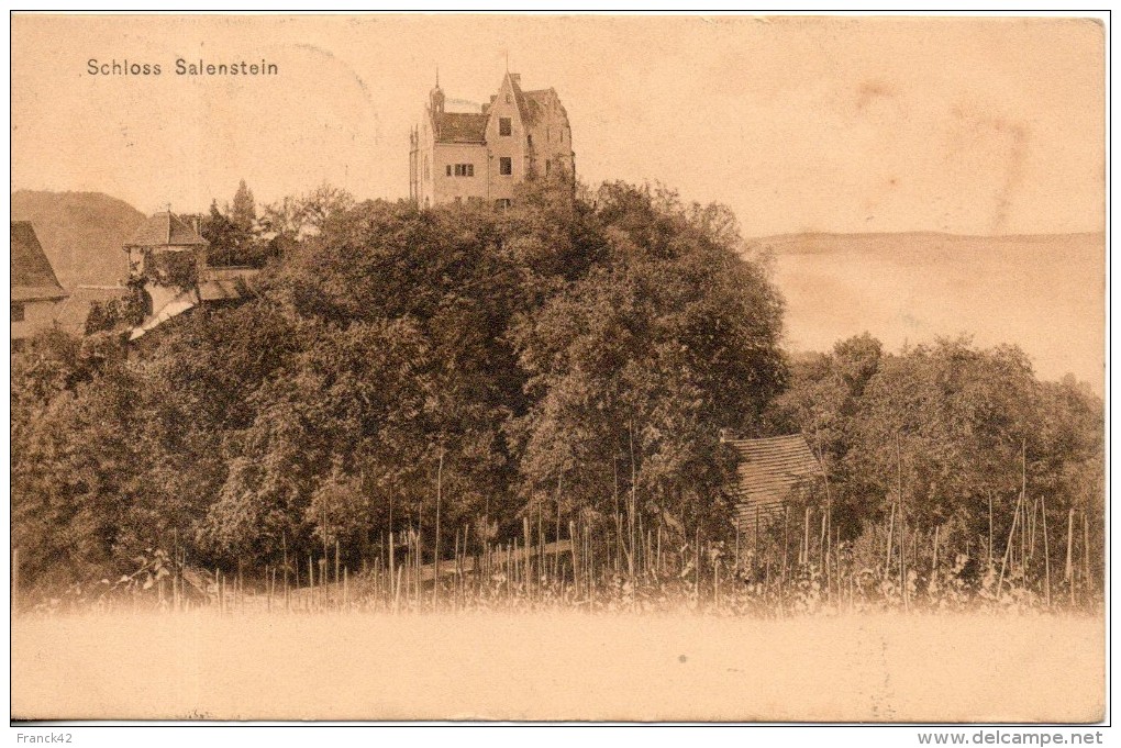 Suisse. Schloss Salenstein - Salenstein