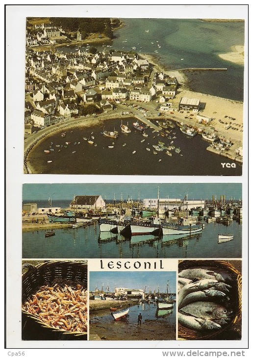 Prix Cassé - VENTE DIRECTE: Port De Pêche De LESCONIL En PLOBANNALEC- 2 Cartes De 1978 - Plobannalec-Lesconil