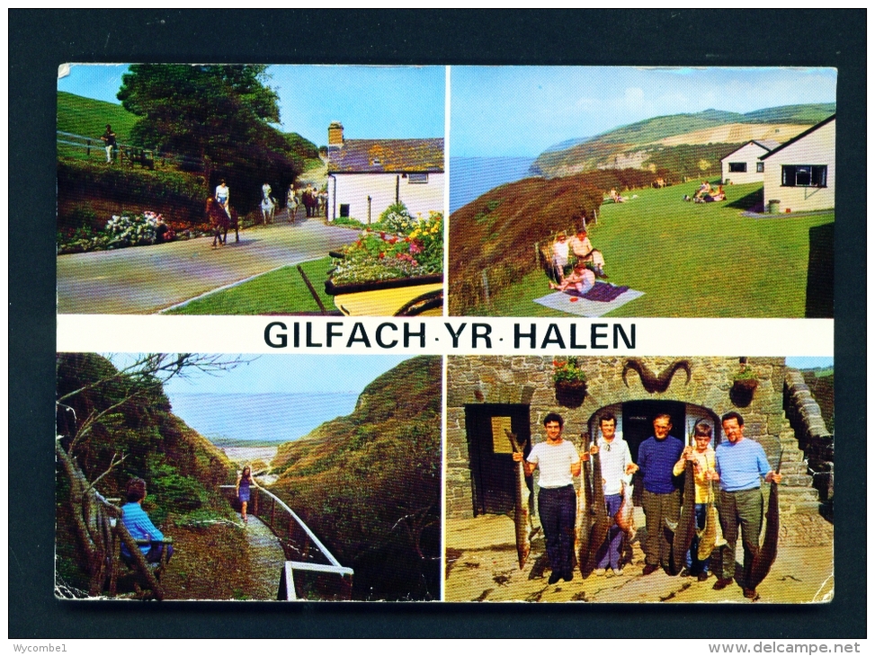 WALES  -  Gilfach Yr Halen  Multi View  Used  Postcard As Scans (light Corner Creasing) - Cardiganshire