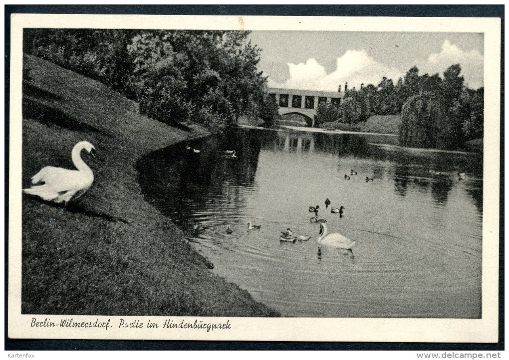 Berlin - Wilmersdorf, Partie Im Hindeburgpark,Schwäne, Aßmuß - Verlag, Spandau - Wilmersdorf