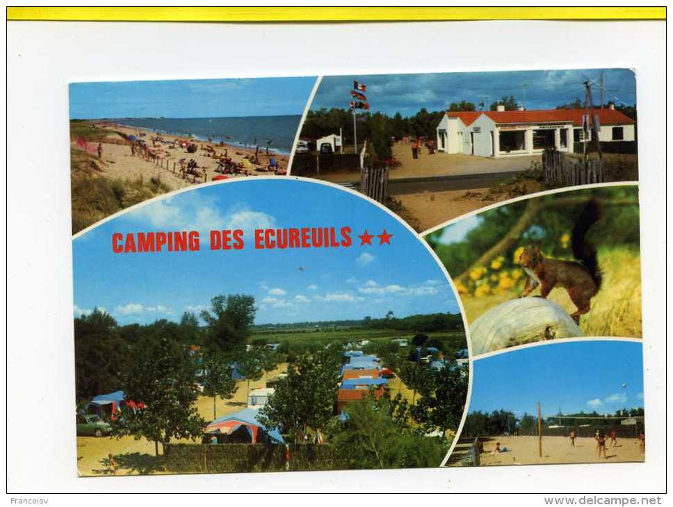 SAINT HILAIRE DE RIEZ CAMPING DES ECUREUILS - Saint Hilaire De Riez