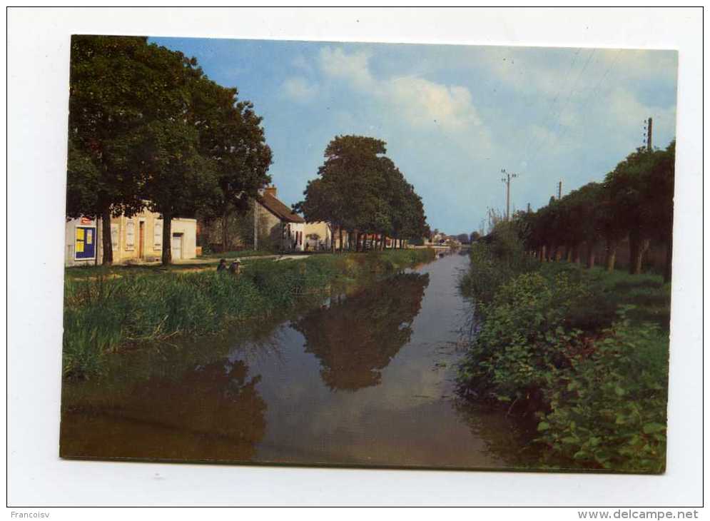 Saint Amand Montrond. Les Bords Du Canal . Edit Nivernaises N° 12.081 - Saint-Amand-Montrond
