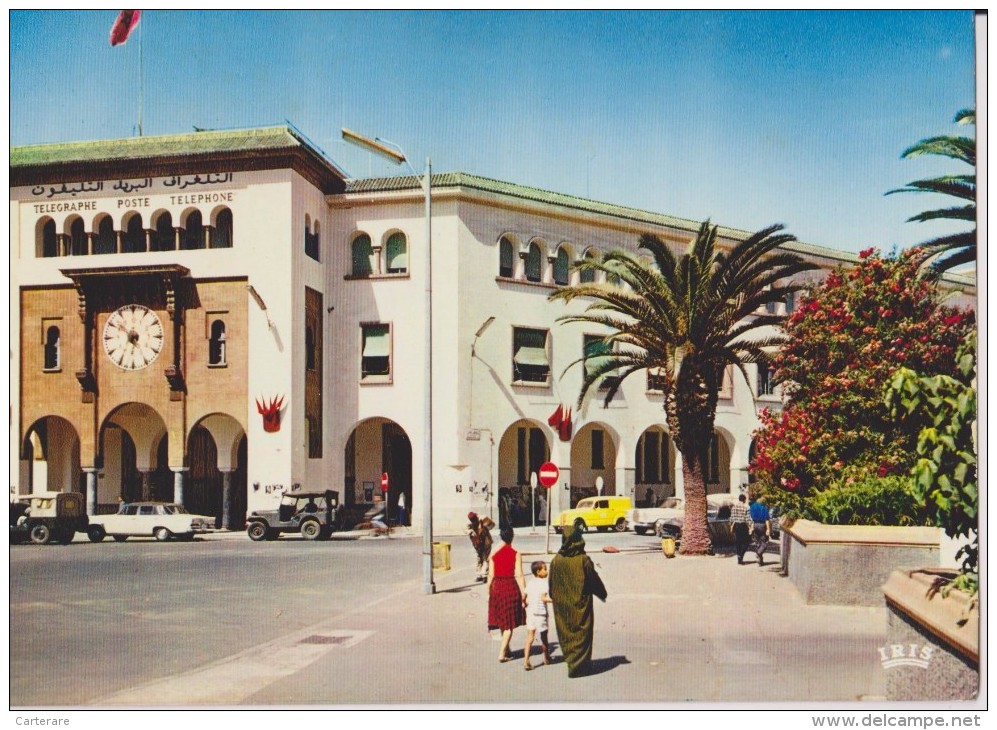 AFRIQUE,AFRICA,MAROC,MOROCCO,RABAT,AR RIBAT,SENS INTERDIT,PALMIER,POSTE,DJIP - Rabat