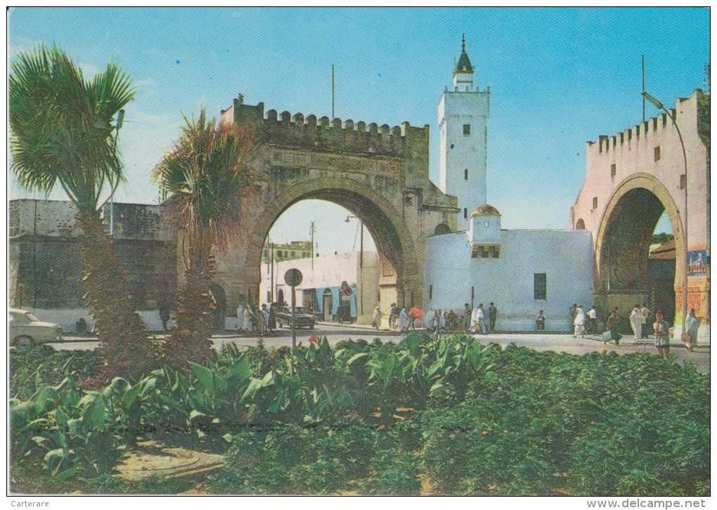 AFRIQUE,AFRICA,AFRIKA,MAGHREB,TUNISIE,TUNISIA,TUNIS,EL KHADRA - 5 - 99 Cartoline