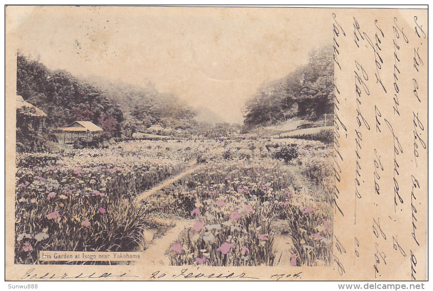 Iris Garden At Isogo Near Yokohama (précurseur, Colorisée, 1904) - Yokohama