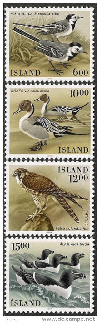 Iceland 1986 MNH/**/postfris/postfrisch Michelnr. 644-647 Birds - Unused Stamps