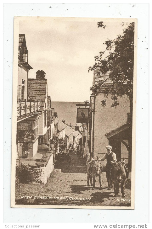 G-I-E , Cp, Angleterre , CLOVELLY  , ANIMAUX , ÂNE , High Street Down , Ed : Valentine Sepiatype , Vierge - Clovelly