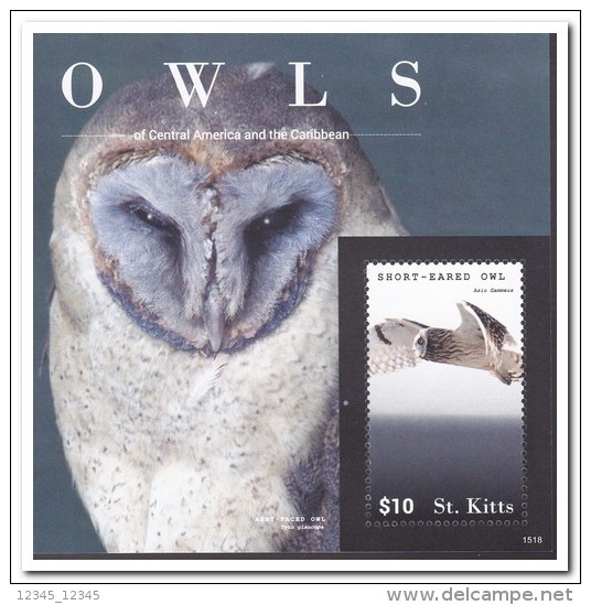 St. Kitts 2015, Postfris MNH, Owls - St.Kitts En Nevis ( 1983-...)