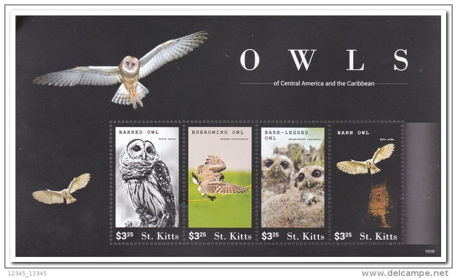 St. Kitts 2015, Postfris MNH, Owls - St.Kitts En Nevis ( 1983-...)