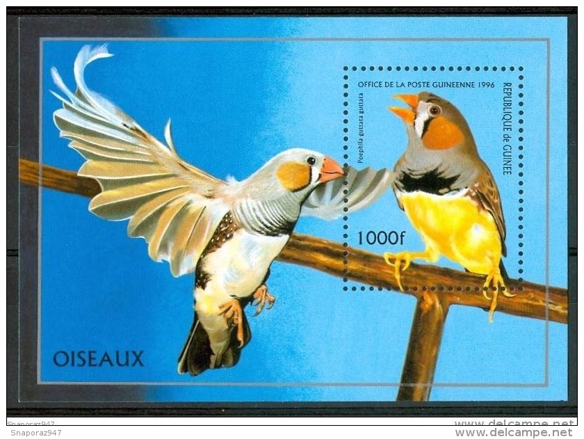 1996 Guinea Uccelli Birds Oiseaux Vogel Block MNH** Fo120 - Guinea (1958-...)
