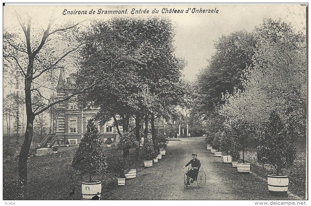 Environs De Grammont  -  Entrée Du Château D'Onkerzele;  1900 - Geraardsbergen