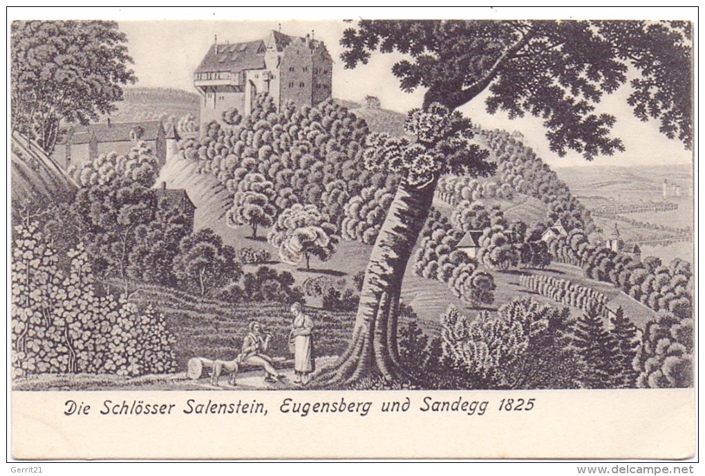 CH 8268 SALENSTEIN, Schlösser Salenstein, Eugensberg Und Sandegg, Künstler-Karte - Salenstein