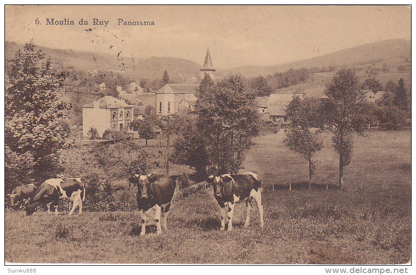 Moulin Du Ruy - Panorama (vaches) - Stoumont