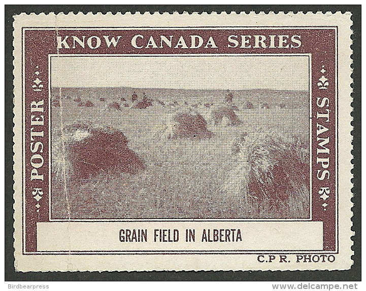 B02-16 CANADA Know Canada Series 1938 MNG Grain Field Alberta Crease - Viñetas Locales Y Privadas