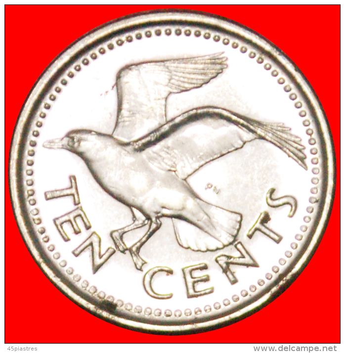 § BIRD: BARBADOS &#9733; 10 CENTS 2008! MINT LUSTER! LOW START &#9733; NO RESERVE! - Barbados (Barbuda)