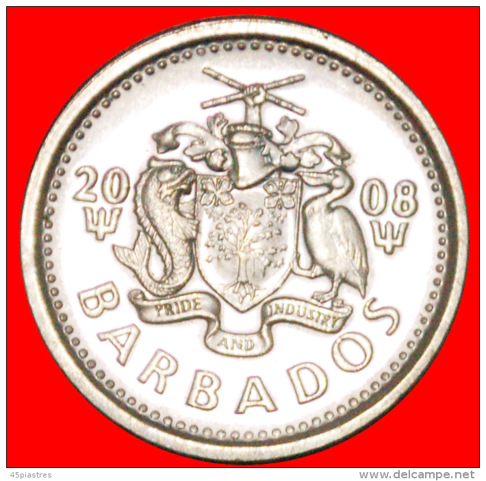 § BIRD: BARBADOS &#9733; 10 CENTS 2008! MINT LUSTER! LOW START &#9733; NO RESERVE! - Barbados (Barbuda)