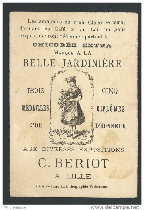 Chromo Publicitaire Lille - Chicorée A LA BELLE JARDINIERE - Fleur Coquelicot Personnifié - Repos - Escargot  // - Té & Café