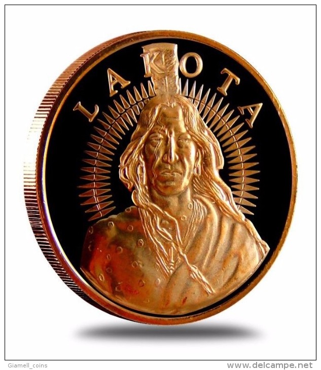 1 OZ "" LAKOTA FREE BANK 1ozCOPPER ROUND PIECE - CRAZY HORSE""FROM USA - Altri & Non Classificati