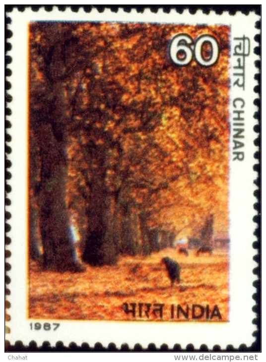 TREES-CHINAR-VALLEY IN KASHMIR-ERROR-INDIA-1987-MNH-B9-165 - Flamingo