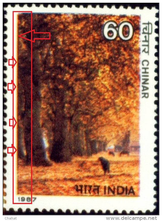 TREES-CHINAR-VALLEY IN KASHMIR-ERROR-INDIA-1987-MNH-B9-165 - Flamingo