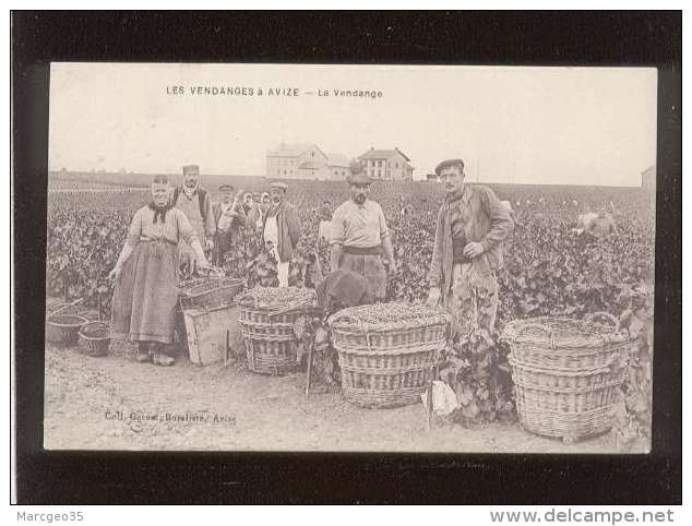 51 Les Vendanges à Avize La Vendange édit. Gasnal , Animée Vignes Vin Champagne - Other & Unclassified