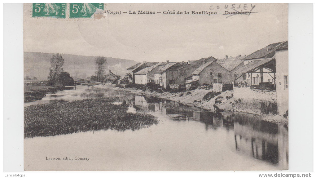 88 - COUSSEY / LA MEUSE - COTE DE LA BASILIQUE - Coussey