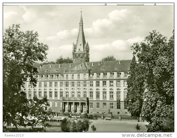 AK Erbach Odenwald Das Schloß Fotohaus Willi König - Erbach