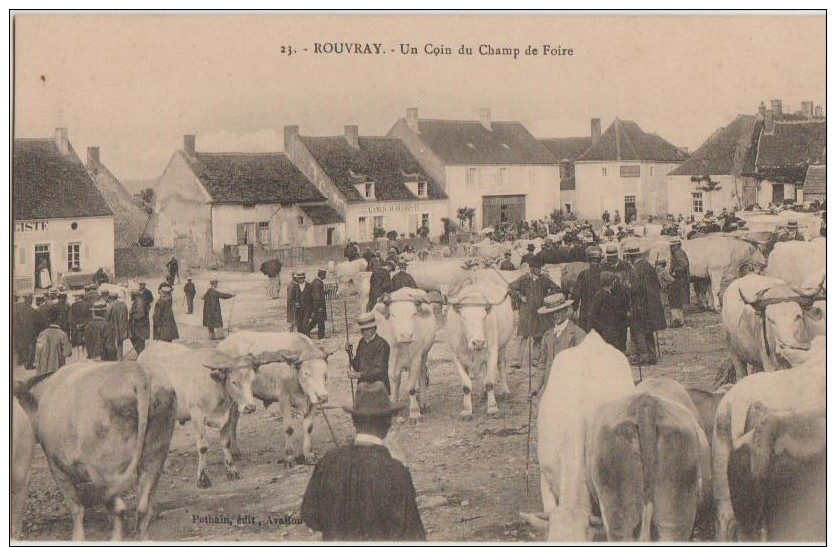 CPA 21 ROUVRAY Un Coin Du Champ De Foire Marché Aux Bestiaux Boeufs Commerces Animation - Autres & Non Classés