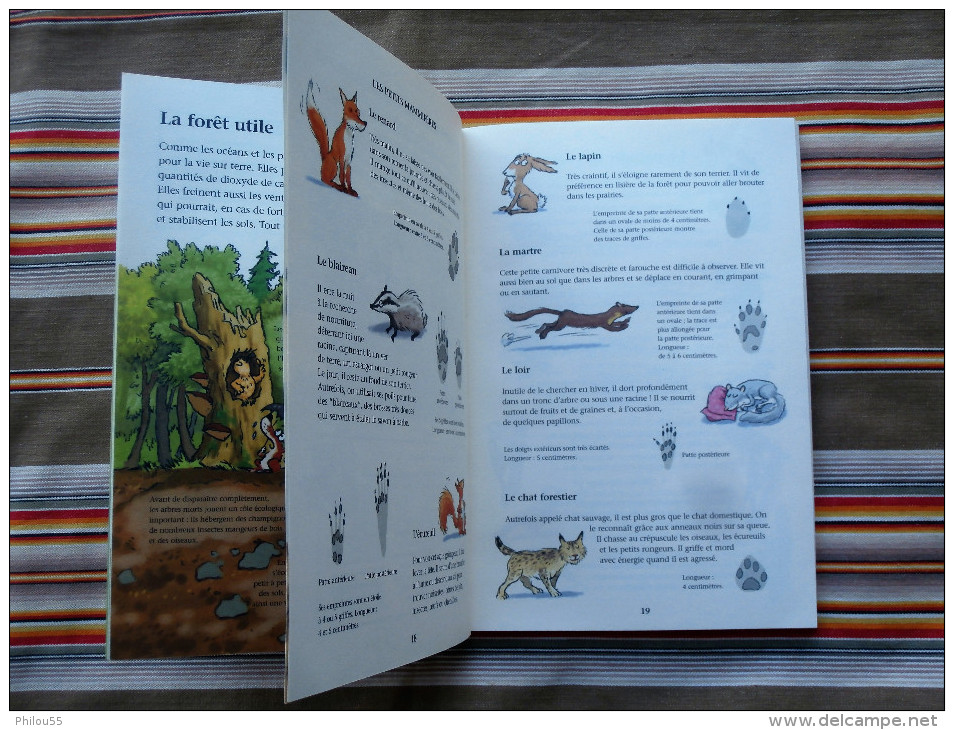 LA FORET A PETITS PAS   Durand Feterman illustrations de R. Gindre   Acte Sud Junior    Office National des Foerts