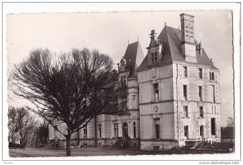 VOUNEUIL Sous BIARD - Château De Boivre . CPSM - Vouneuil Sous Biard