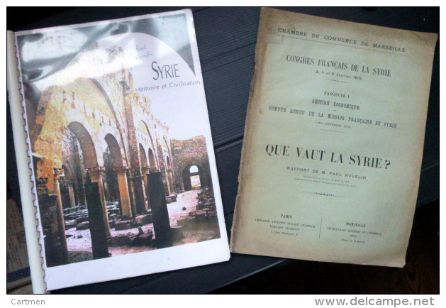 SYRIE LIBAN SYRIA  DEUX ETUDES ECONOMIQUES ET HISTORIQUES  SUR CE PAYS EN   1919 ET 1995 - Sonstige & Ohne Zuordnung