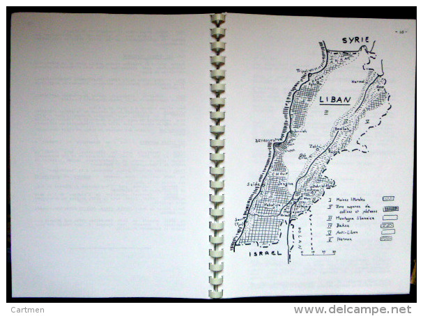 SYRIE LIBAN SYRIA  DEUX ETUDES ECONOMIQUES ET HISTORIQUES  SUR CE PAYS EN   1919 ET 1995 - Sonstige & Ohne Zuordnung